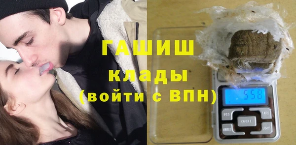 шишки Алзамай