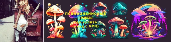 шишки Алзамай