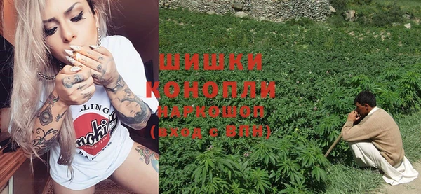 шишки Алзамай