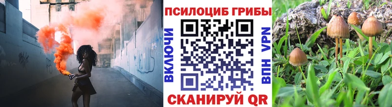 Псилоцибиновые грибы Psilocybe Калтан